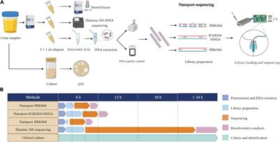 Rapid Detection of Bacterial Pathogens and Antimicrobial Resistance Genes in Clinical Urine Samples With Urinary Tract Infection by Metagenomic Nanopore Sequencing